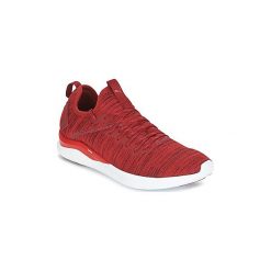 Buty sportowe męskie: Fitness buty Puma IGNITE FLASH EVOKNIT
