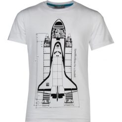 TXM T-SHIRT DZIECIECY CHŁOPIĘCY WZÓR 146 BIAŁY. Białe t-shirty chłopięce TXM, bez wzorów, bez rękawów. Za 9,99 zł.