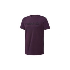 T-shirty z krótkim rękawem Reebok Sport Koszulka Linear Read. Fioletowe koszulki męskie Reebok Sport, s, bez wzorów, sportowe, bez kołnierzyka, z krótkim rękawem, krótkie. Za 69,95 zł.