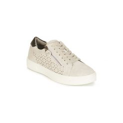 Buty Xti 48785. Szare trampki i tenisówki damskie Xti, bez wzorów, bez zapięcia. Za 219,00 zł.