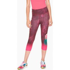 Legginsy: Legginsy funkcyjne w kolorze czerwono-różowym