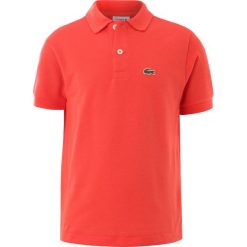 T-shirty chłopięce: Lacoste PJ290900 Koszulka polo watermelon