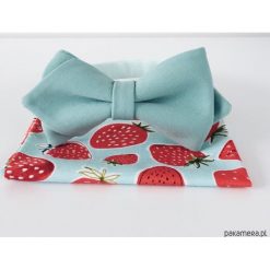 Minty Shake. Miętowa mucha + poszetka. Zielone muszki męskie Pakamera, eleganckie. Za 119,00 zł.