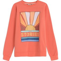 Bluzy rozpinane damskie: BLUZA MALIBU TERRACOTA