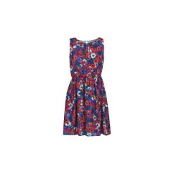 Sukienki krótkie Molly Bracken MOLLIUGE. Szare sukienki damskie Molly Bracken, s, bez wzorów, bez kołnierzyka, z krótkim rękawem, krótkie, mini. Za 229,00 zł.