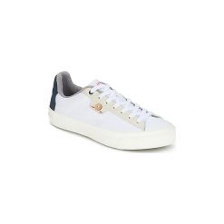 Tenisówki męskie: Buty Faguo SLOE COTTON