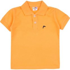 TXM T-shirt chłopięcy polo 128 POMARAŃCZOWY. Pomarańczowe t-shirty chłopięce TXM, bez wzorów, bez rękawów. Za 19,99 zł.