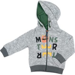 Bluza w kolorze szarym. Szare bluzy dziewczęce Street Monkey, z bawełny. W wyprzedaży za 49,95 zł.