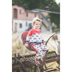 Spider Pants. Czerwone bluzy chłopięce marki Pakamera, w paski, z dresówki. Za 159,00 zł.