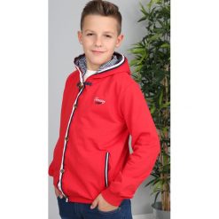 Czerwona Bluza Dziecięca NDZ4998. Czerwone bluzy chłopięce marki Fasardi. Za 59,00 zł.