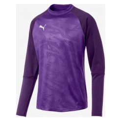 Puma Cup Training Sweat Core Bluza Fioletowy. Fioletowe bluzy męskie Puma, m, z nadrukiem, z poliesteru, bez kołnierzyka, bez rękawów, bez kaptura. Za 206,95 zł.