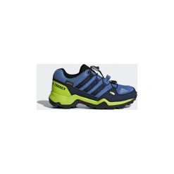 Buty Dziecko adidas Buty TERREX GTX. Niebieskie trampki chłopięce marki Adidas. Za 379,00 zł.