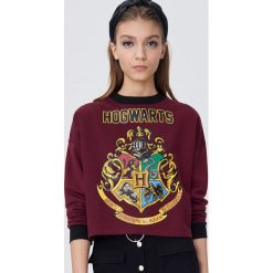 Bluza Harry Potter - Bordowy. Czerwone bluzy damskie Sinsay, s, bez wzorów, bez rękawów, bez kaptura. Za 49,99 zł.