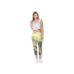 Legginsy: Legginsy CP-011 272