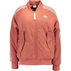 Adidas Originals SHORT Kurtka Bomber rawpin. Różowe marynarki damskie adidas Originals, bez wzorów, z bawełny. W wyprzedaży za 486,75 zł.