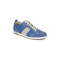 Tenisówki męskie: Buty Kickers BARBOSSA