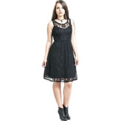 Forplay Sleeveless Lace Dress Sukienka czarny. Czarne sukienki koronkowe marki Forplay, s, w koronkowe wzory, z okrągłym kołnierzem, bez rękawów. Za 94,90 zł.