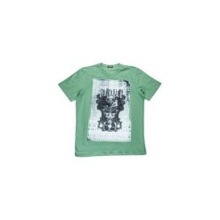 T-shirty męskie: t-shirt męski z printem