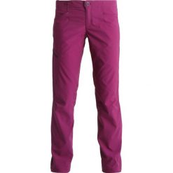 Bryczesy damskie: Patagonia ROCK PANTS Spodnie materiałowe geode purple