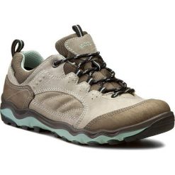 Trekkingi ECCO - Ulterra GORE-TEX 82312358729 Warm Grey/Sage/Ice Flower. Brązowe buty trekkingowe damskie marki ecco. W wyprzedaży za 389,00 zł.