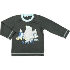 Mmdadak Chłopięca Koszulka Yeti 104 Szary. Szare t-shirty chłopięce marki Mmdadak. Za 33,00 zł.