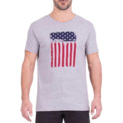T-shirty męskie: T-shirt w kolorze szarym