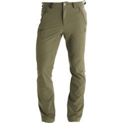 Chinosy męskie: Mammut RUNBOLD PANTS Spodnie materiałowe iguana