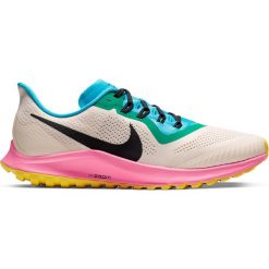 Buty Nike Air Zoom Pegasus 36 Trail M Multikolor-Beżowe. Brązowe buty sportowe męskie Nike, z gumy, bez zapięcia, do biegania. Za 549,99 zł.