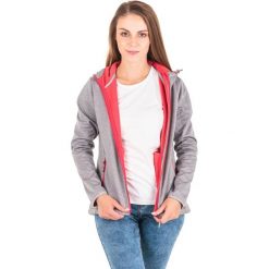 Kurtki damskie softshell: Outhorn Kurtka damska HOL18-SFD600 szara r. XL