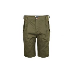 Szorty i Bermudy Iceberg D041 P103 5407. Zielone spodenki i szorty męskie Iceberg, xxl, bez wzorów. Za 299,00 zł.