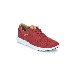 Trampki męskie: Buty Supra HAMMER RUN