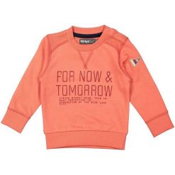 Dirkje Bluza Chłopięca For Now 116 Pomarańczowa. Pomarańczowe bluzy niemowlęce Dirkje, bez wzorów, bez rękawów, bez kaptura. Za 69,00 zł.