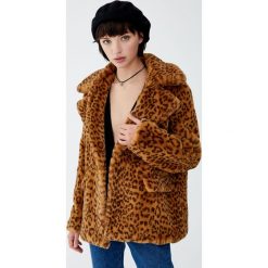 Kurtka ze sztucznego futra w panterkę. Brązowe kurtki damskie marki Pull&Bear, z motywem zwierzęcym. Za 199,00 zł.