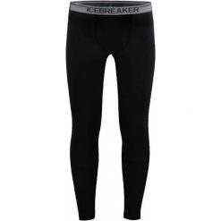 Kalesony męskie: Icebreaker Mens Anatomica Leggings W Fly Black/Monsoon Xl