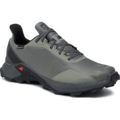 Buty SALOMON - Alphacross Gtx GORE-TEX 408055 31 V0 Castor Gray/Ebony/Black. Zielone buty sportowe męskie Salomon, z tworzywa sztucznego, bez zapięcia, do biegania, gore-tex. Za 479,00 zł.