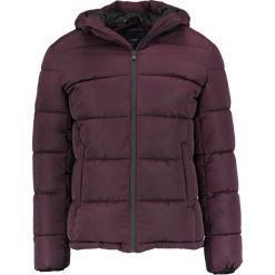 Kurtki męskie: CELIO JUSHINER Kurtka zimowa bordeaux