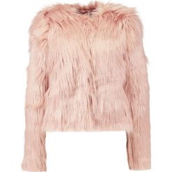 Kurtki damskie: Ivyrevel COOKIE Kurtka zimowa dusty pink