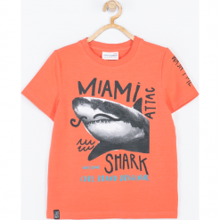 Koszulka. Pomarańczowe t-shirty chłopięce MAKE SOME NOISE, z aplikacjami, z elastanu, z krótkim rękawem. Za 39,90 zł.