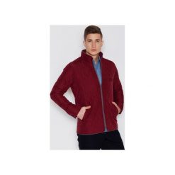 Kurtki męskie: Kurtka V008 Bordo