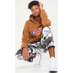 Bluzy męskie: Dickies NEVADA Bluza z kapturem brown duck