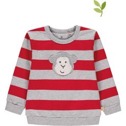 Bluza w kolorze szaro-czerwonym. Szare bluzy niemowlęce Mother Nature & Me, w paski, z bawełny, bez rękawów, bez kaptura. W wyprzedaży za 62,95 zł.