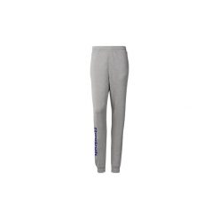 Spodnie treningowe Reebok Classic Spodnie dresowe Classics Vector. Szare spodnie męskie Reebok Classic, s, bez wzorów, z dresówki. Za 229,00 zł.