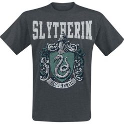 T-shirty męskie z nadrukiem: Harry Potter Slytherin T-Shirt odcienie ciemnoszarego