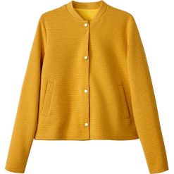 Bluzy rozpinane damskie: Bluza z dzianiny