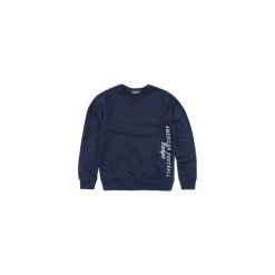 Bluzy chłopięce: bluza nierozpinana chłopięca