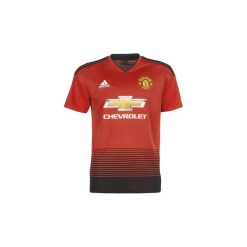 T-shirty z krótkim rękawem adidas MUFC JERSEY. Czerwone t-shirty męskie Adidas, s, bez wzorów, z jersey, bez kołnierzyka, krótkie. Za 319,20 zł.