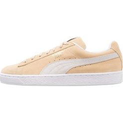 Trampki męskie: Puma SUEDE CLASSIC Tenisówki i Trampki pebble/white