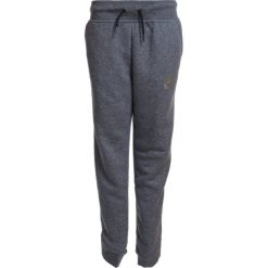 Nike Performance PANT Spodnie treningowe carbon heather/anthracite. Szare spodnie chłopięce marki Nike Performance, z bawełny. W wyprzedaży za 170,10 zł.