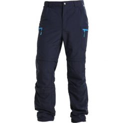 Bojówki męskie: Icepeak SEIFER Bojówki dark blue