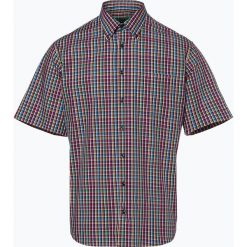 Andrew James - Koszula męska łatwa w prasowaniu, niebieski. Niebieskie koszule męskie non-iron Andrew James, m, button down, z krótkim rękawem. Za 99,95 zł.